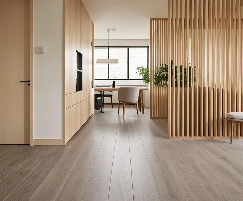 Modern Minimalist Apartmen